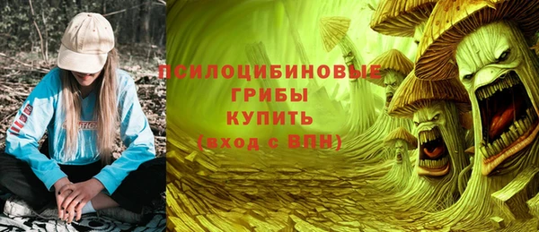 крисы Алексеевка